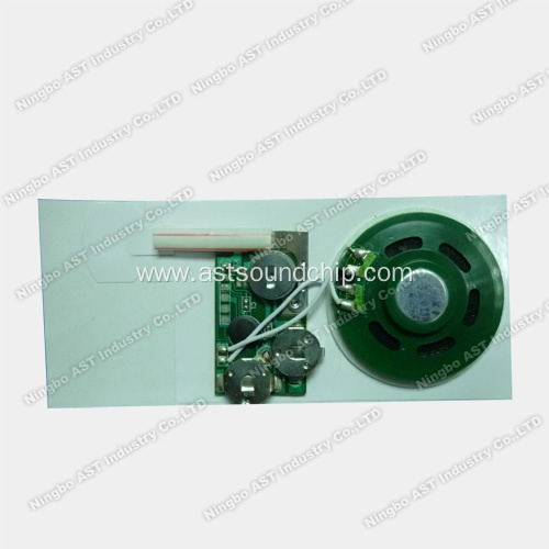 Greeting Cards Sound Chip, Slide Tongue Sound Module